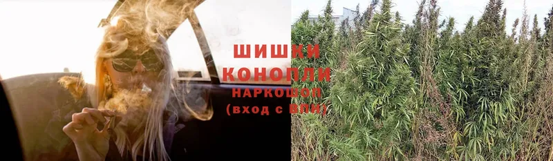 наркотики  Богородск  Марихуана SATIVA & INDICA 